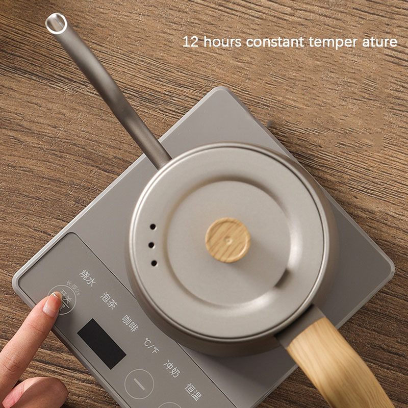 110v 220v Kettle teapot goose  – Electric Kettle Gooseneck recenzja i cena