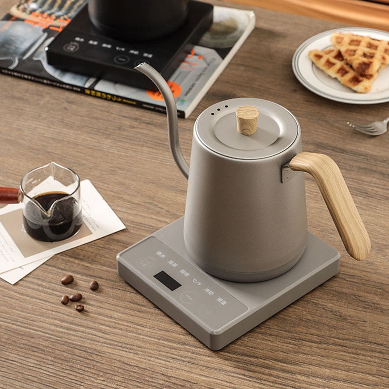 110v 220v Kettle teapot goose  – Electric Kettle Gooseneck recenzja i cena