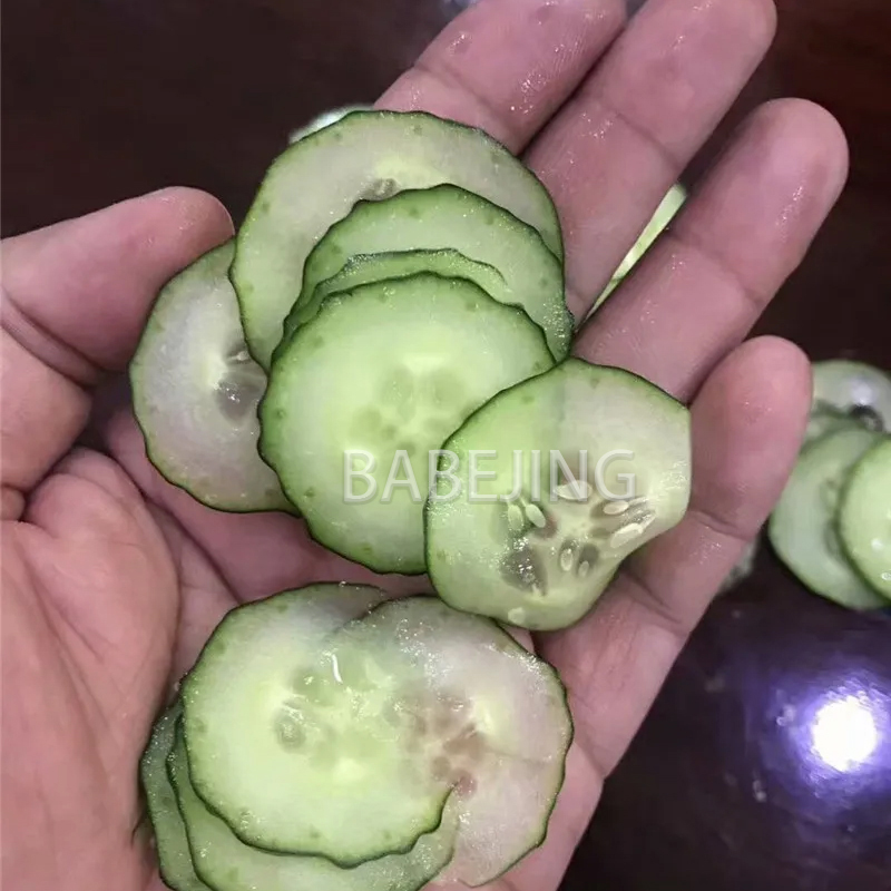 Electric Mini Scallion Chopper – Kitchen Appliances Are recenzja i cena